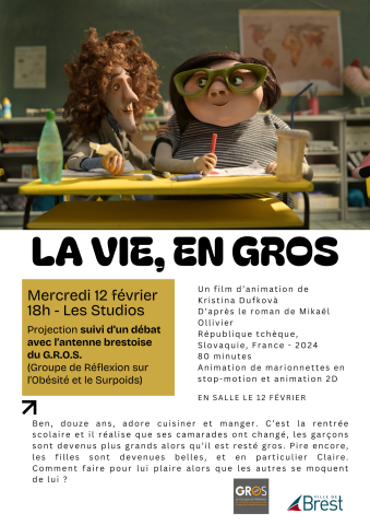 Ciné débat &quot;La vie, en gros&quot;